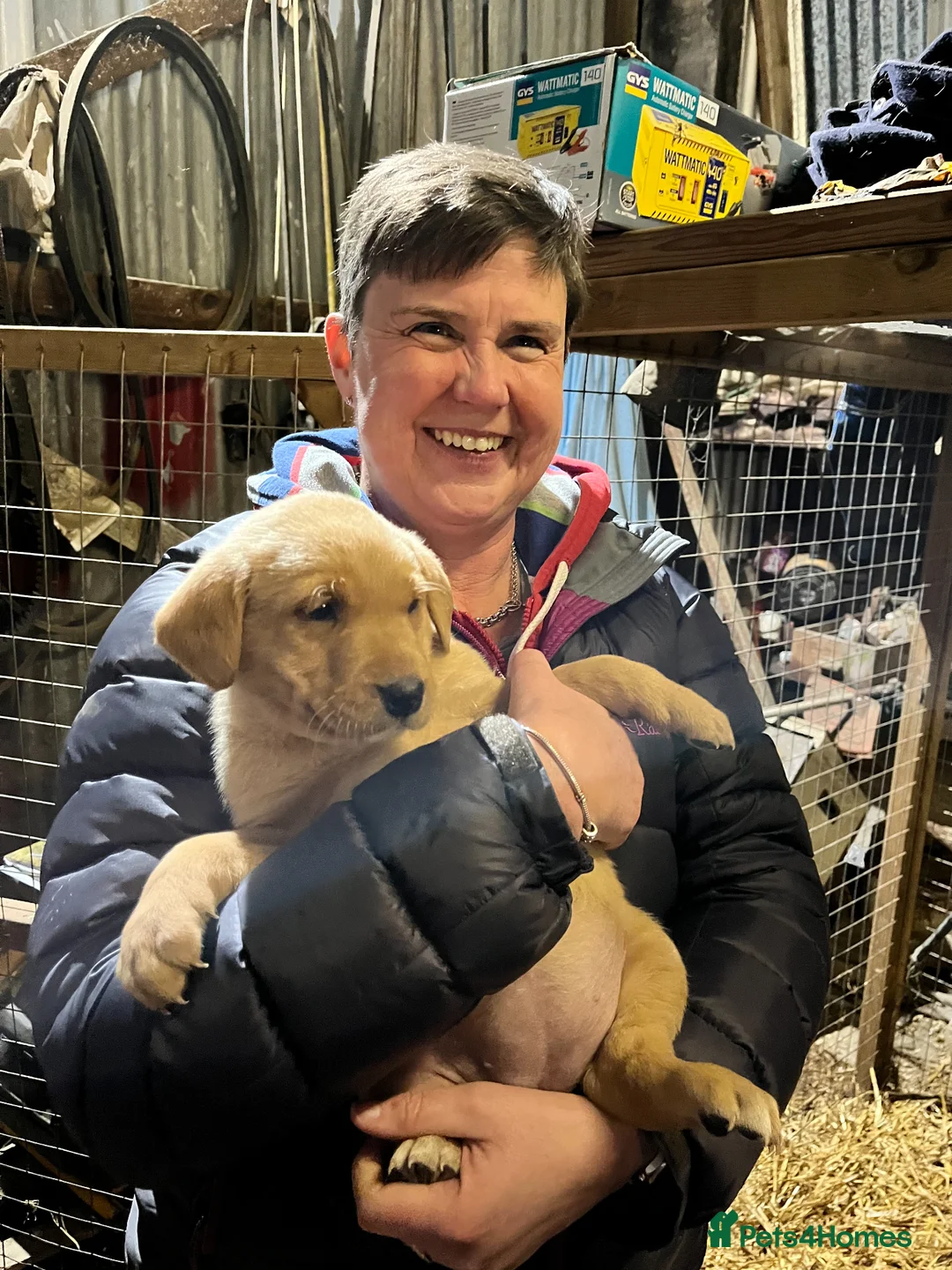 Gallery Image {{count}}