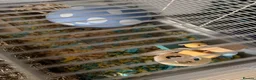 Hamster rodents for sale: Dumbo - Male Syrian Hamster  in Taunton - Advert 6