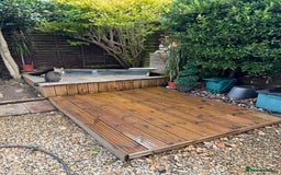 Koi Carp fish for sale: Beautiful Gold-Orange Koi Carp - Image 3