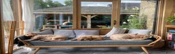 Mini Goldendoodle dogs for sale: High quality miniature Goldendoodles - Advert 22