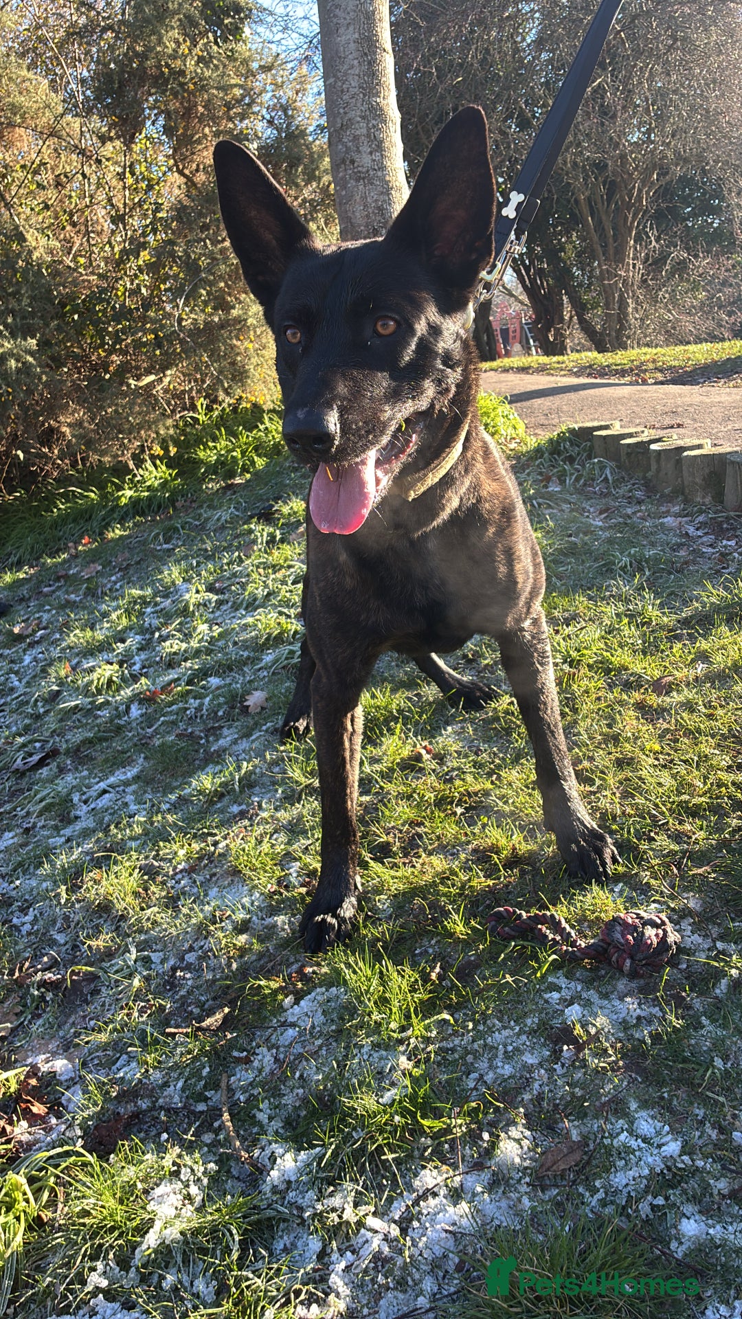 Gallery Image {{count}}