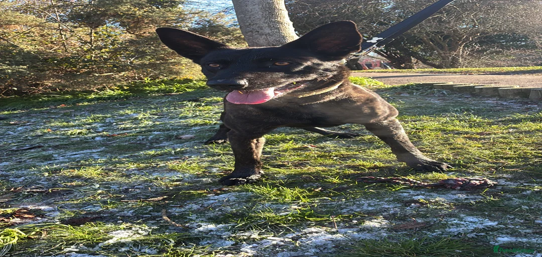 Gallery Image {{count}}