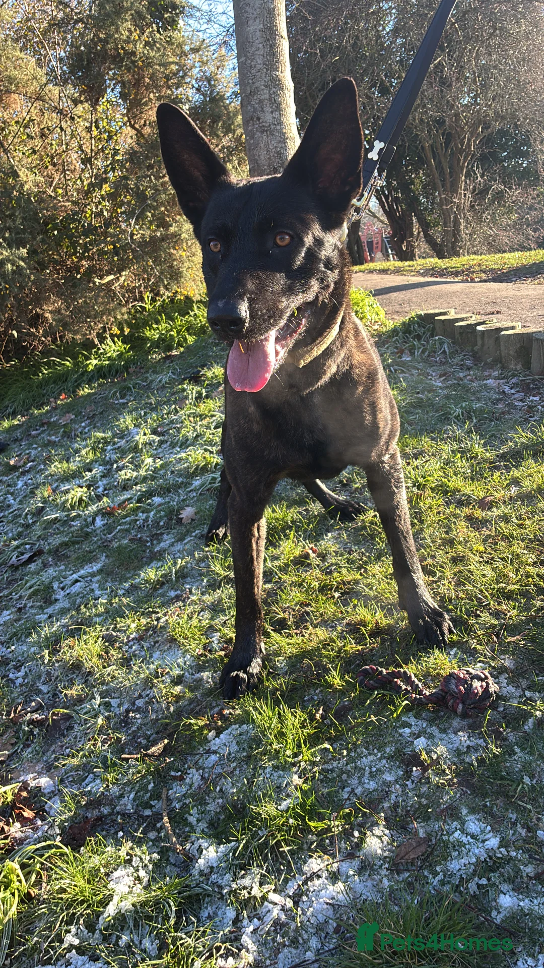 Gallery Image {{count}}