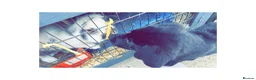 Sheprador dogs for sale: Oreo 3 years  in Nottingham - Advert 29