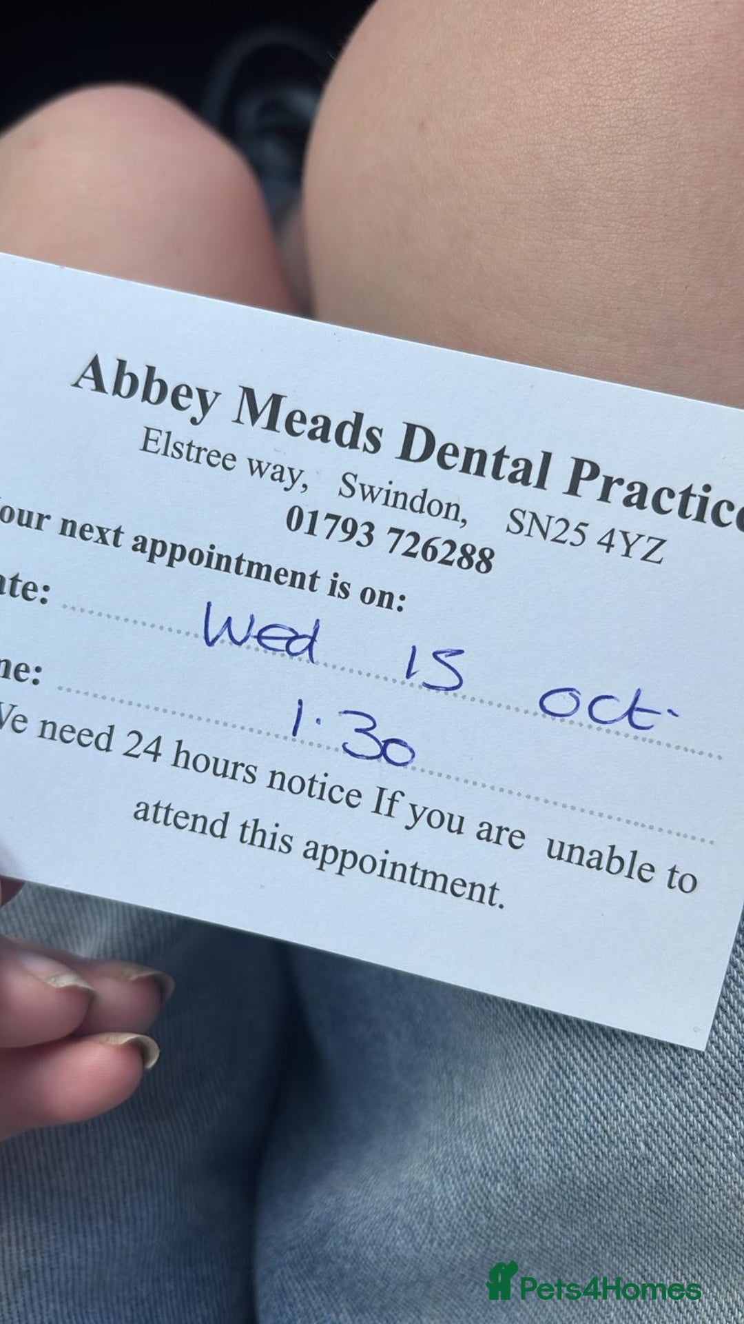 Snake reptiles for sale: Hot nose born June 2025 for sale  - Advert 6