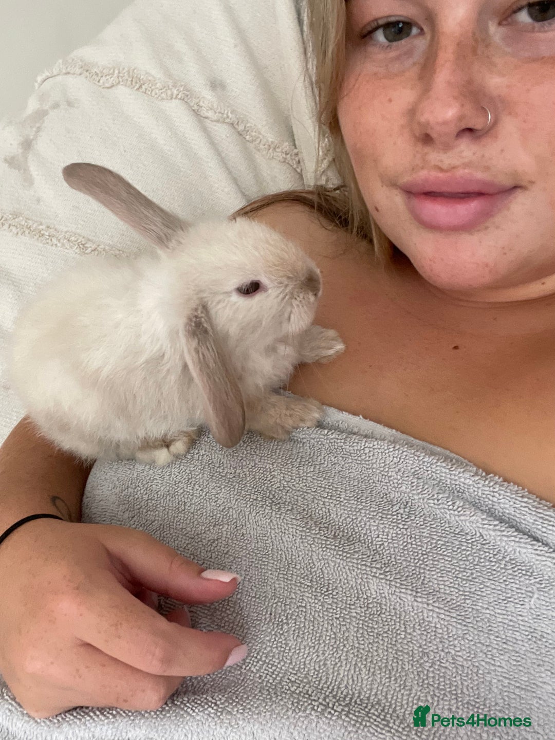 Mini Lop rabbits for sale: Beautiful female rabbit & cage  - Image 1