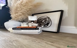 Bengal cats for sale: Bengal x Kittens - Image 6