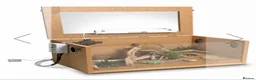 Leopard Gecko reptiles for sale: Leopard Gecko Starter Kit Enclosure  in Denbigh - Advert 2