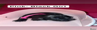 Pink Girl