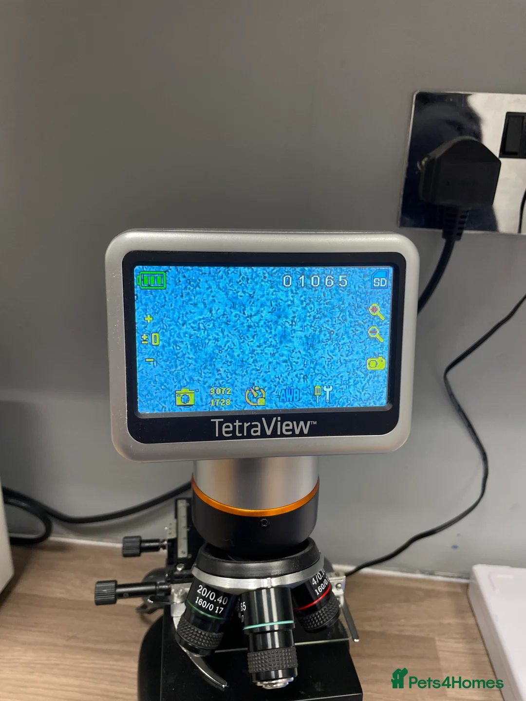 French Bulldog dogs for stud: Chunk Bright & Bubbly! in Leeds - Advert 11