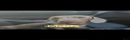 Miniature Dachshund dogs for sale: Miniature Dachshund Puppies - Advert 8