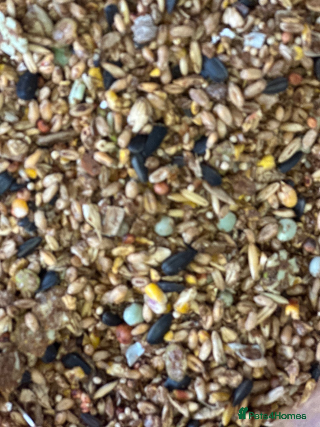 Mixed Breed poultry for sale: Pilling Poultry Boost Mix - High Energy feed - Advert 1