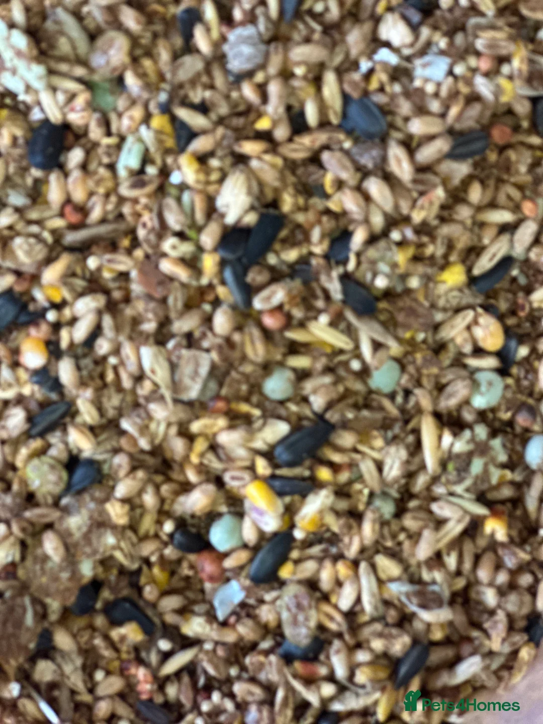 Mixed Breed poultry for sale: Pilling Poultry Boost Mix - High Energy feed - Advert 1