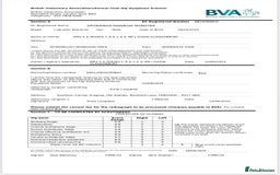 Labrador Retriever dogs for sale: Plump little Red Labrador Puppies! - Image 4