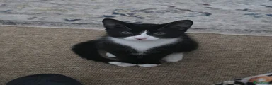 Tux