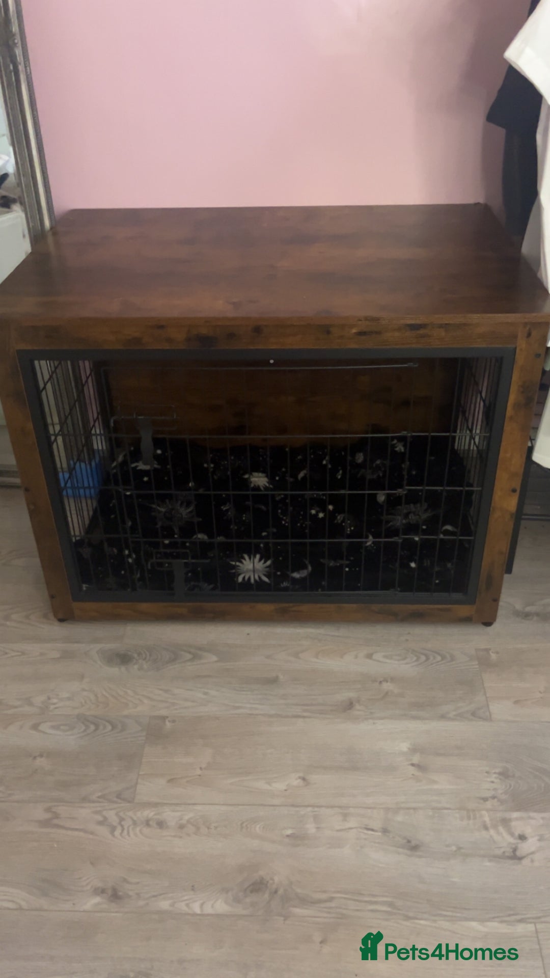 Mixed Breed dogs for sale: Dog cage with built in unit for sale - Image 1