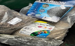 Axolotl reptiles for sale: 2 Adult male Axolotls and Full set up  - Image 9