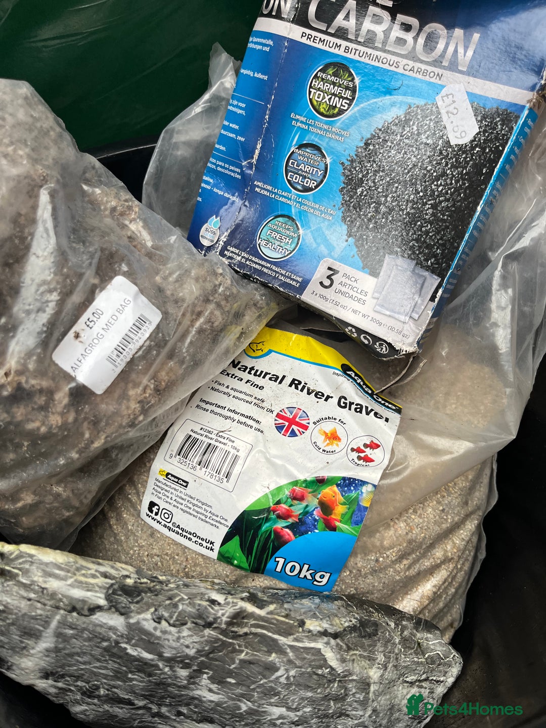 Axolotl reptiles for sale: 2 Adult male Axolotls and Full set up  - Image 9