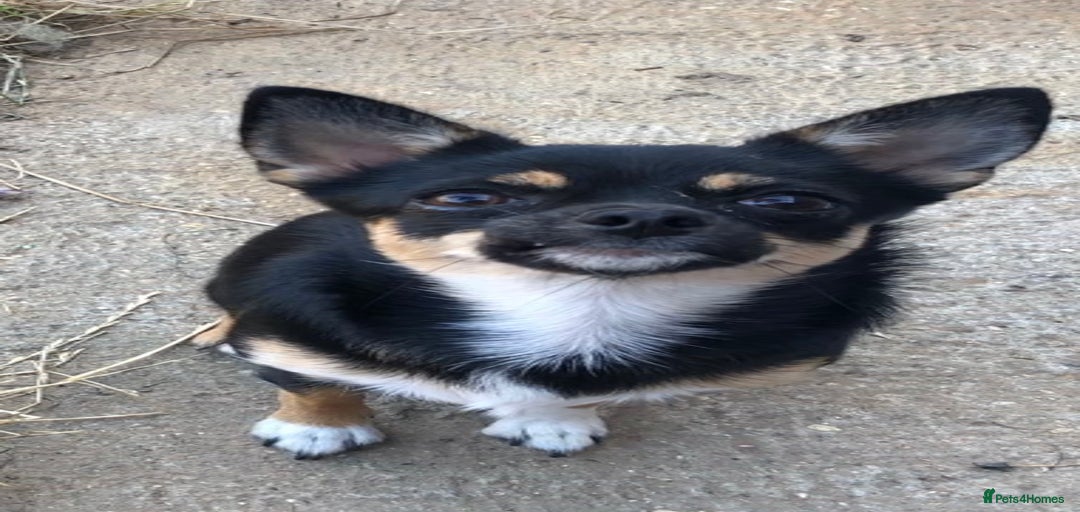 Gallery Image {{count}}