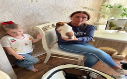 Jack Russell dogs for sale: Puppy looking for their new home  - Image 2
