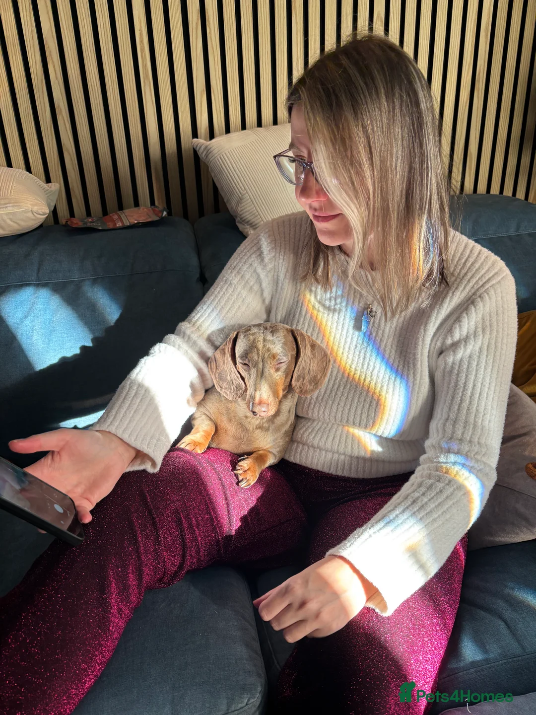 Gallery Image {{count}}