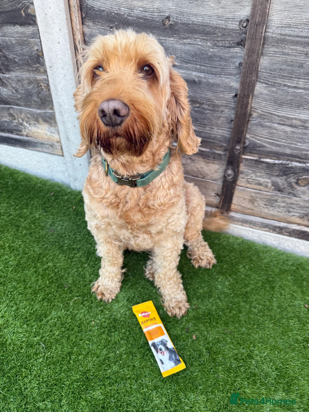 Gallery Image {{count}}