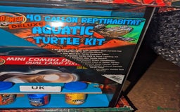Turtle reptiles for sale: 2 Musk Turtles and 40 gallon tank set up - Image 20