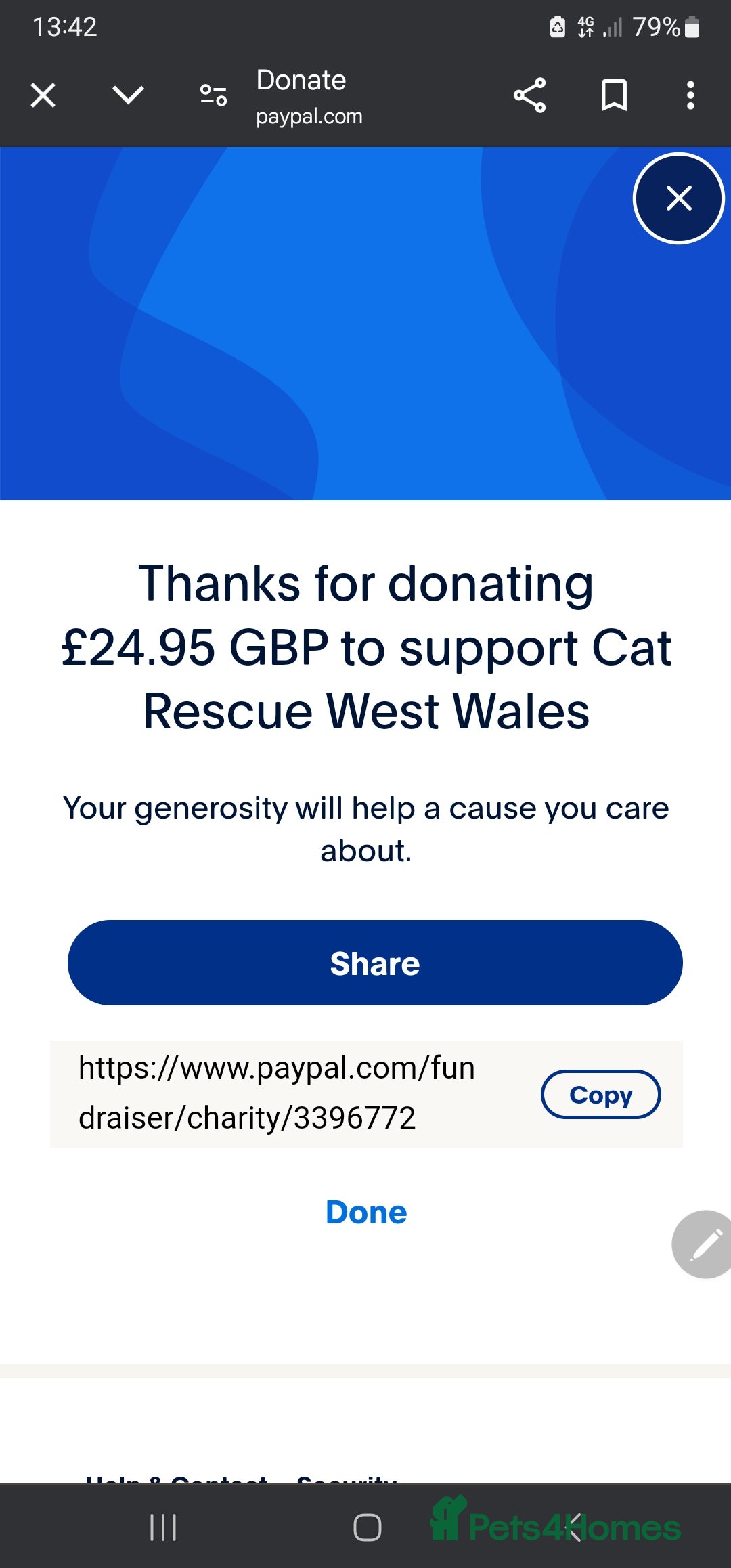 Bengal cats for sale: Cuddly charity donation pay monthly - Image 12