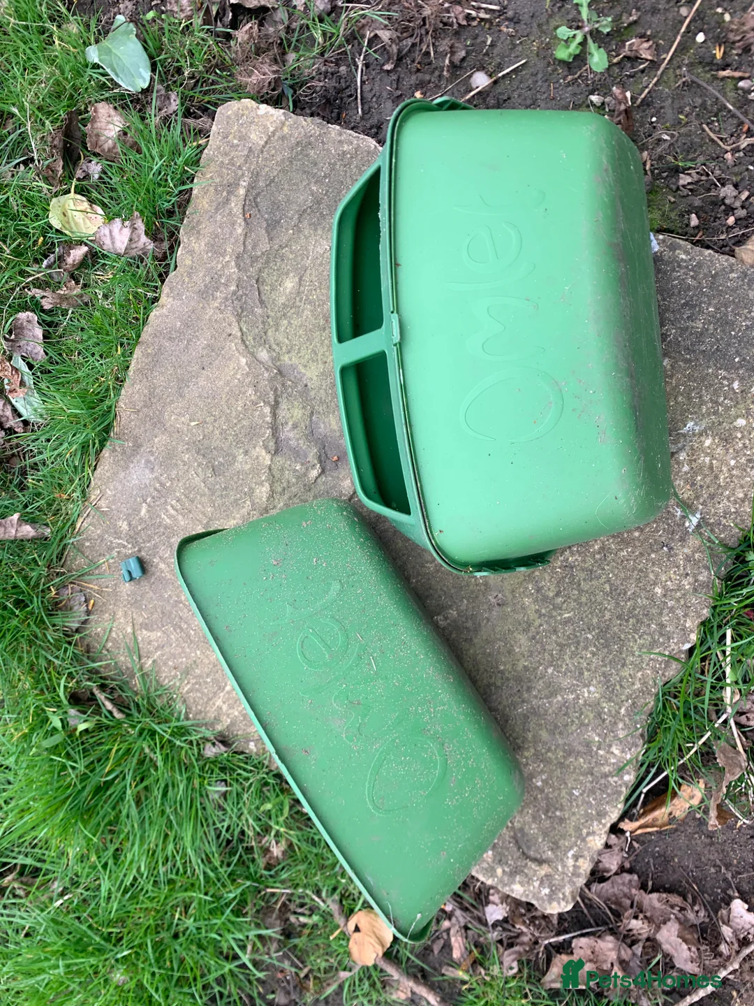 Chickens poultry for sale: Chickens Omlet go up coop - Advert 7