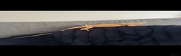 Bearded Dragon reptiles for sale: male bearded dragon with full set up  in Peterlee - Advert 2