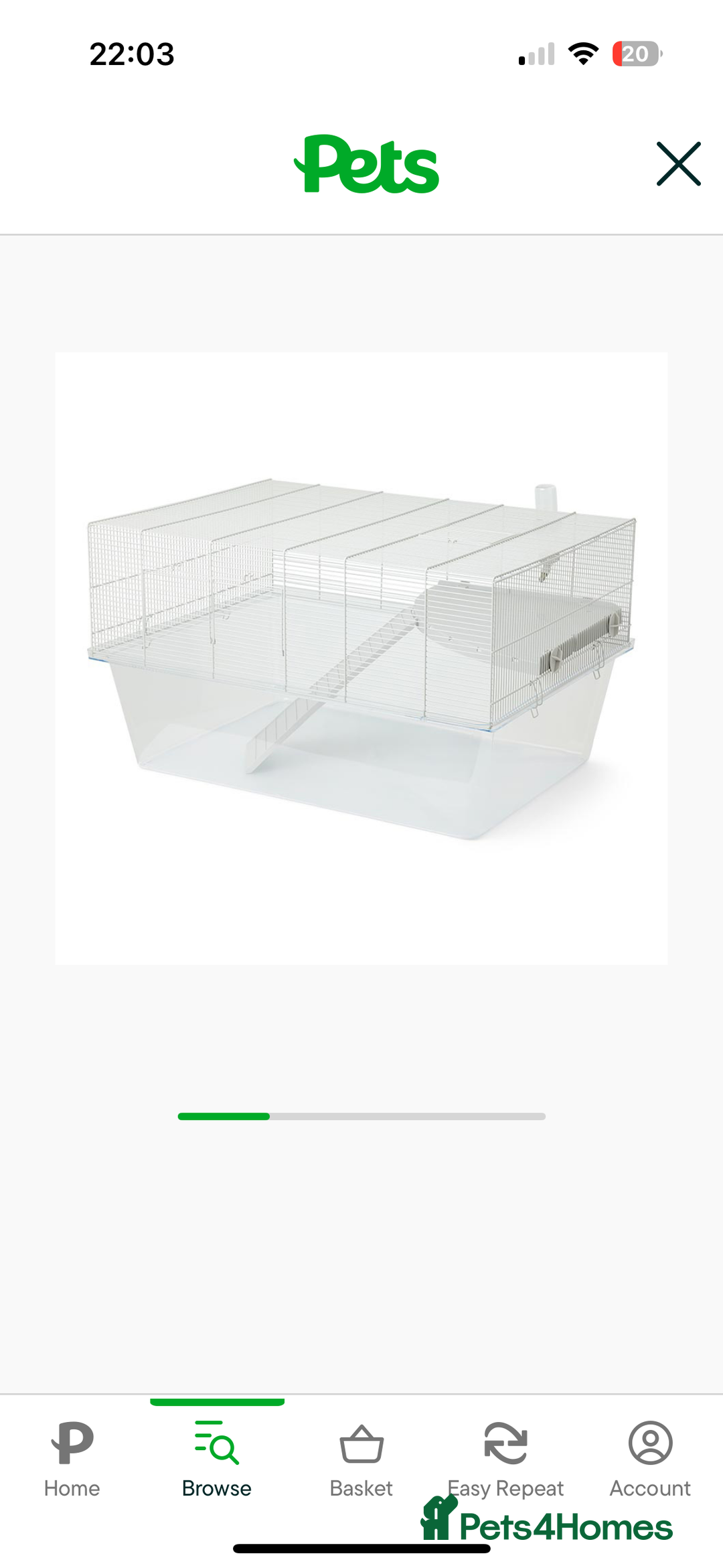 Gerbil rodents for sale: 2 gerbils with cage  - Image 2
