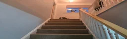 Beagle dogs for stud: Loki is our name- KC name is Fallowfield Chestnut  - Advert 7