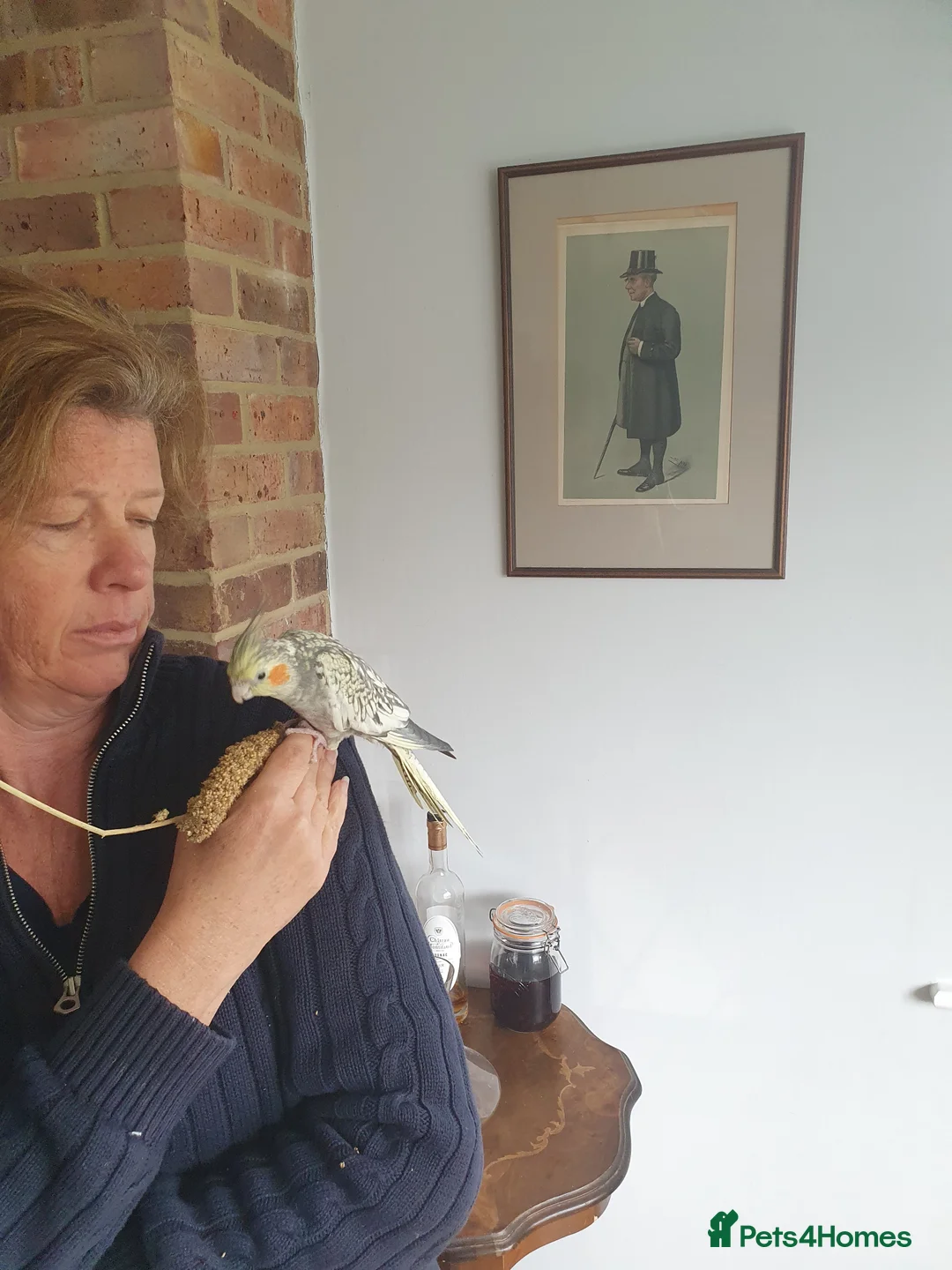 Cockatiels birds for sale: 2 beautiful Cockatiels in Tonbridge - Advert 1