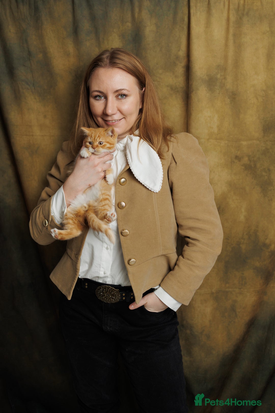 British Shorthair cats for sale: British Short and Long Hair  - Image 7