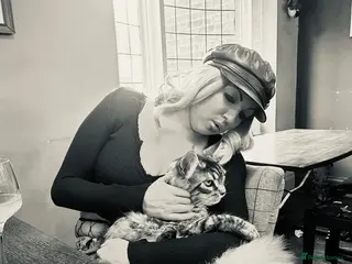 Maine Coon cats 2 Maincoon cross kittens 1 female and 1 male - Advert 1