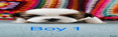 Boy 1