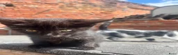 Mixed Breed cats for sale: 4 Beautiful Female Kittens (10 Weeks Old) - Advert 14