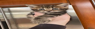 Boy 1 