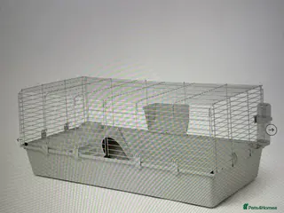 Mini Lop rabbits Brand new indoor cage . - Advert 6