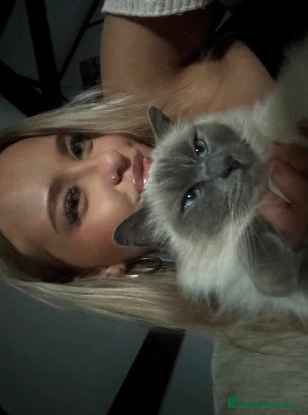 Gallery Image {{count}}