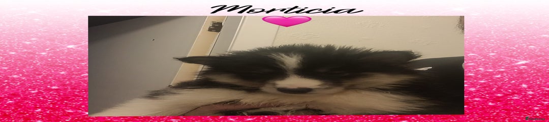 Morticia