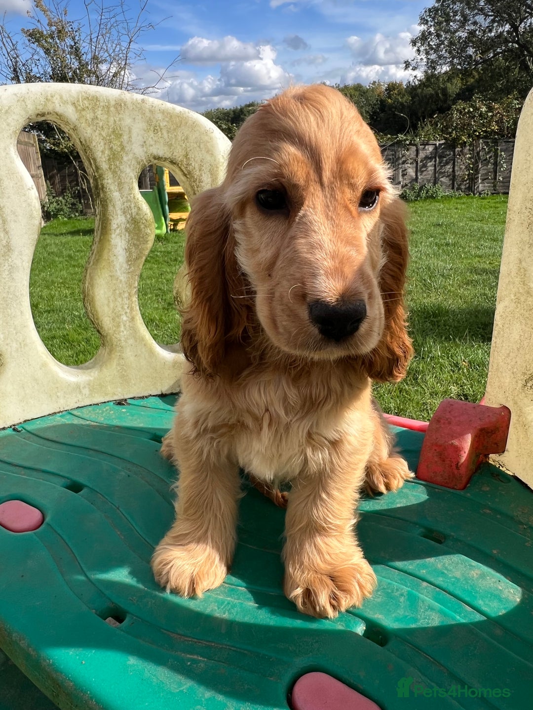 Gallery Image {{count}}