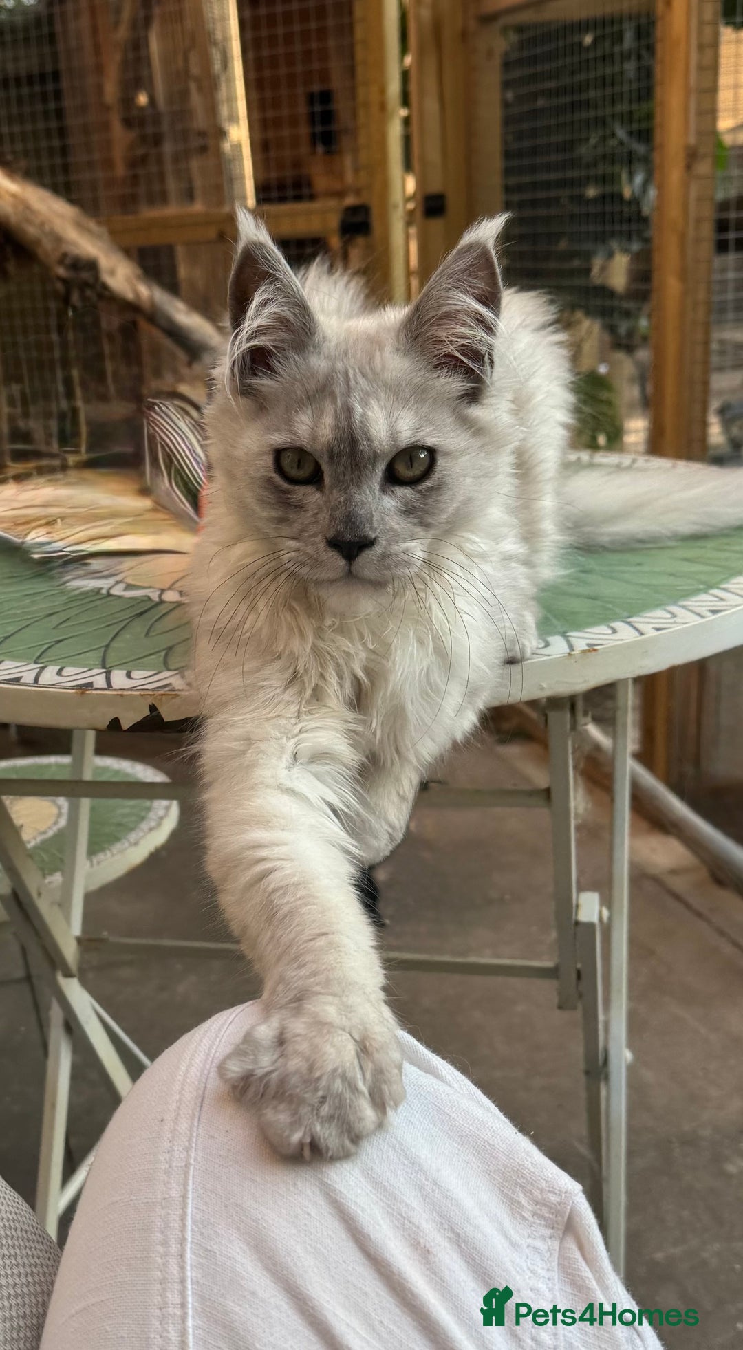 Gallery Image {{count}}