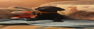 Great Danoodle 1