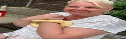 Python Snake reptiles for sale: Albino Python Snake in Egham - Advert 10