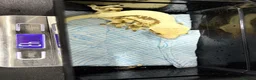 Gecko reptiles for sale: Various crested geckos for sale  - Advert 8