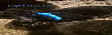 Light blue boy 