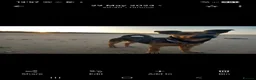 Jack Russell dogs for stud: Jack Russell for stud in Hull - Advert 6
