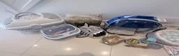 Guinea Pig rodents for sale: Californian male guinea pigs, cage + huge bundle - Advert 7