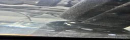 Cichlids fish for sale: Malawi cichlids dragon blood  - Advert 5